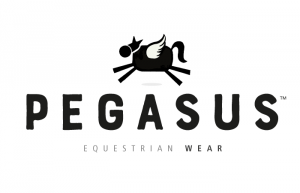 Logo Design - Pegasus Wear