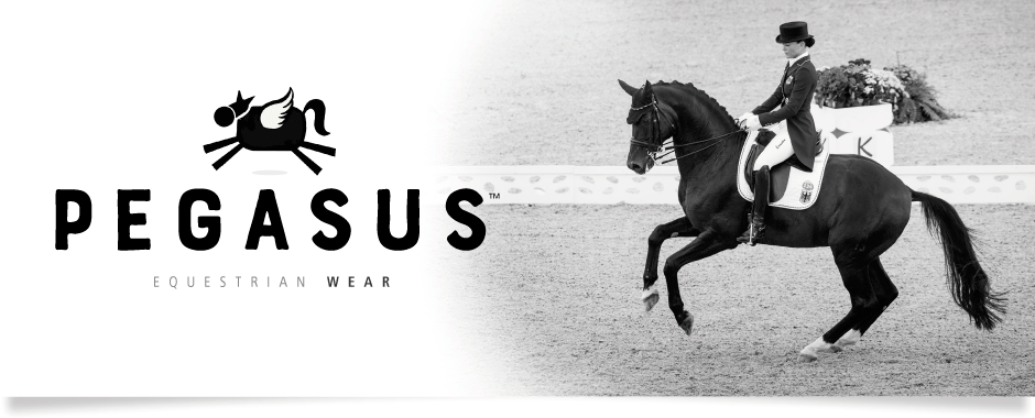 Logo DEsign - Pegasus Wear