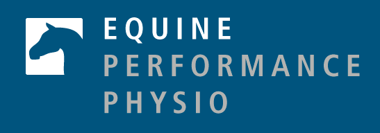Website Design - Equine Performance Physio